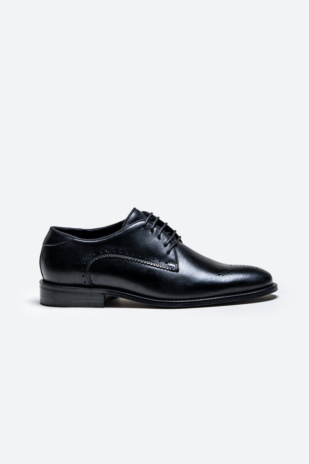 Cavani Madrid Shoes Black - Wingtip Brogue