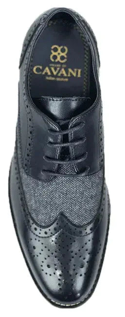 Navy Tweed Brogue Shoe | Cavani Horatio Tweed